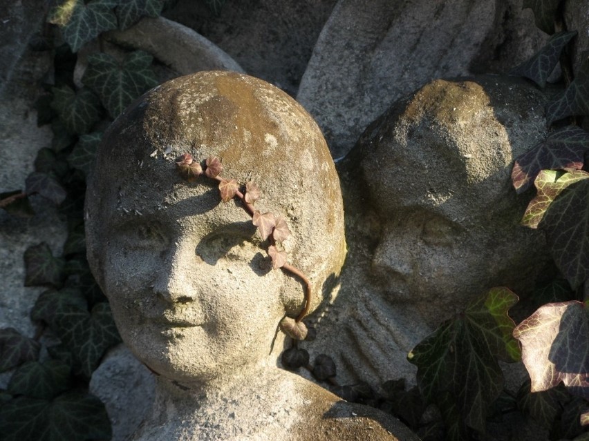 Na cmentarzu na Oksywiu znajduje się grób 7-letniej Krysi....