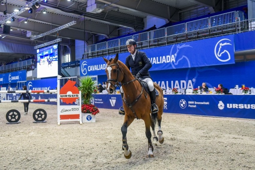 W pawilonie nr 5 MTP w czwartek rozpoczęła się Cavaliada,...