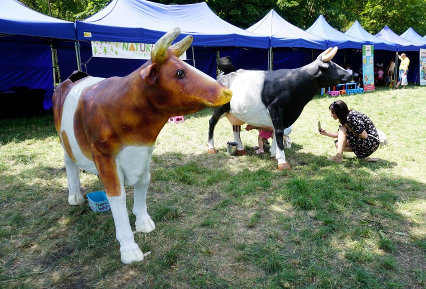 Za nami weekend z Festiwalem Kultury Rodzinnej w Parku Ludowym w Lublinie [FOTORELACJA]