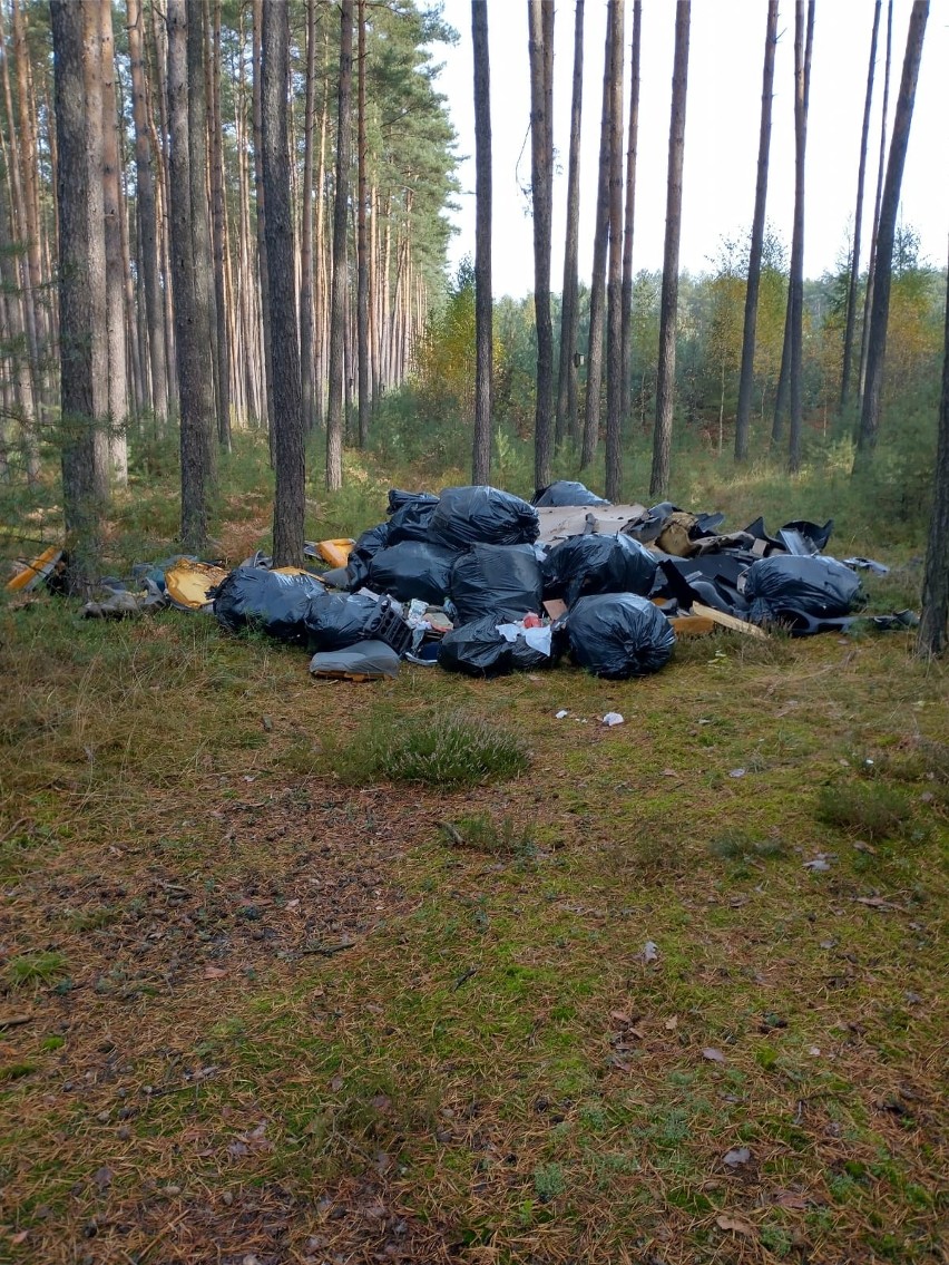 Na Opolszczyźnie przybywa dzikich wysypisk. Do lasów trafiają hurtowe ilości mebli, stare opony czy części samochodowe