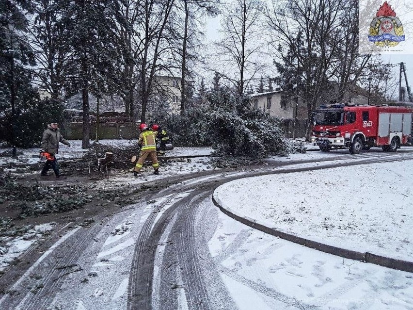 Skutki burzy śnieżnej w Łodzi, która przeszła nad...