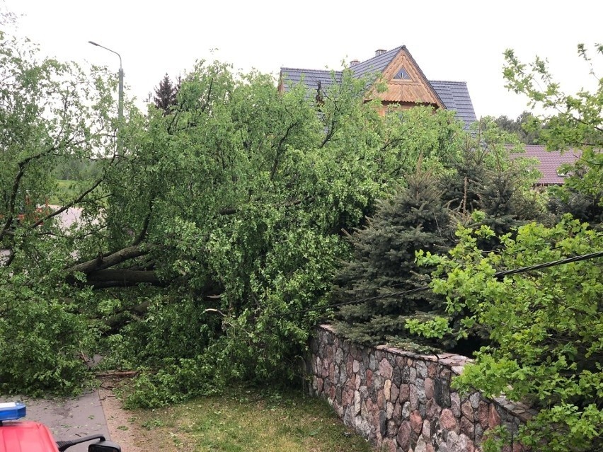 Podlaskie. Wiele gospodarstw bez prądu. Połamane drzewa, zerwane dachy