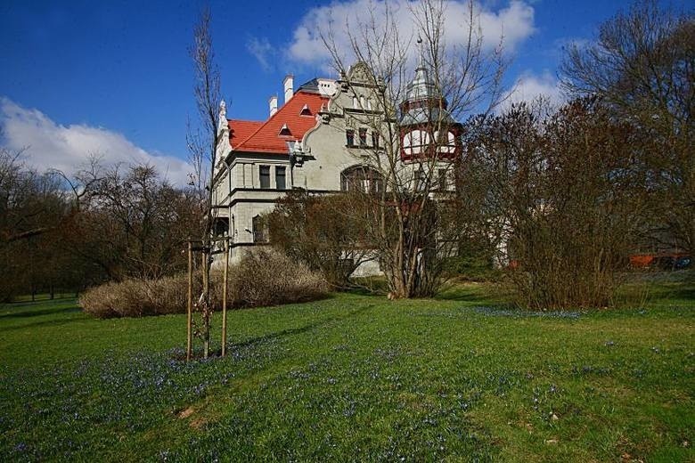 Park im. Klepacza zamknięty, cebulice i śnieżniki można oglądać z daleka