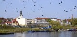 Będziemy mieć własny Kazimierz... w Starym Fordonie