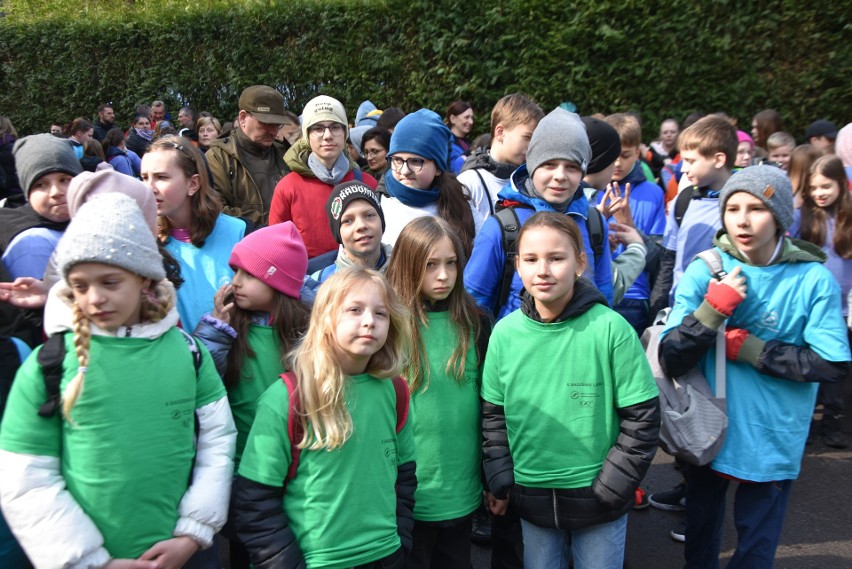 Święto Lasu w Nadleśnictwie Radom. Uczniowie z wielu szkół posadzili kilka tysięcy drzewek. Zobacz zdjęcia 