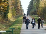 W niedzielę, 16 października dużo osób spacerowało i zbierało grzyby w starachowickich lasach. Zobacz zdjęcia