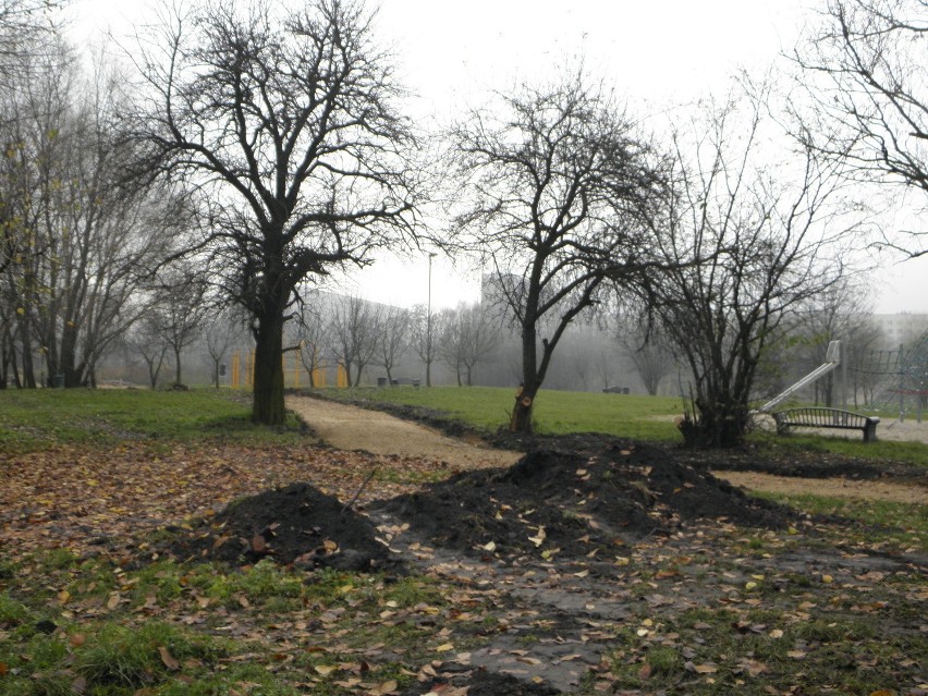 Park Cegielnia w Żorach