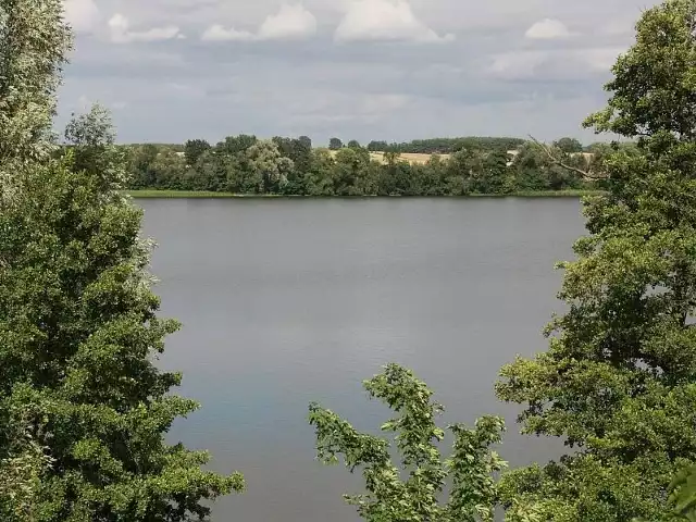 Jezioro Kochle w Pszczewie.