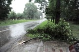 Burze z gradem i wichury łamią drzewa. Pierwszy stopień zagrożenia (zdjęcia)