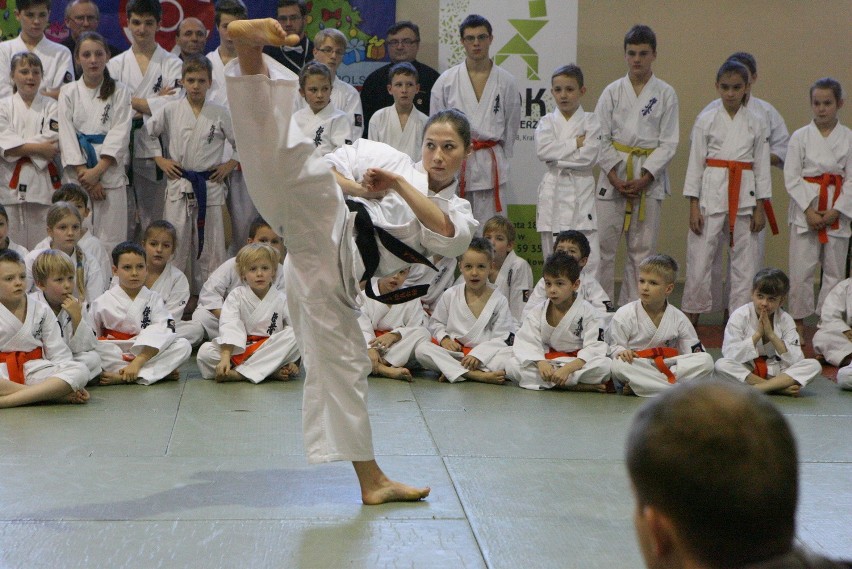 Turniej gwiazdkowy i pokazy mistrzów karate