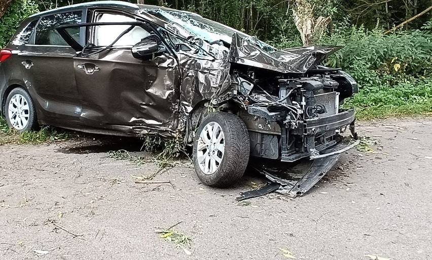 Wypadek w Kleczkowie w gminie Troszyn. Kierowca zjechał z drogi i uderzył w drzewo. 17 lipca 2023. Zdjęcia