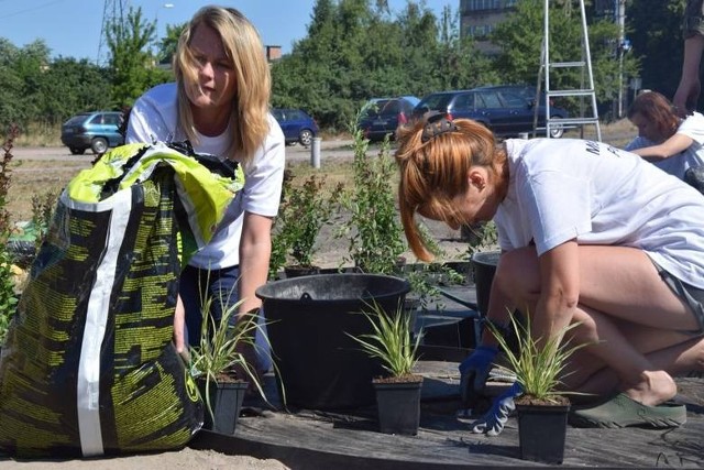 Nowy projekt ratusza ma być szansą dla projektów, które dotyczą zbyt małej rzeszy mieszkańców. Prezydent jako jeden z przykładów podaje choćby nasadzenia zieleni