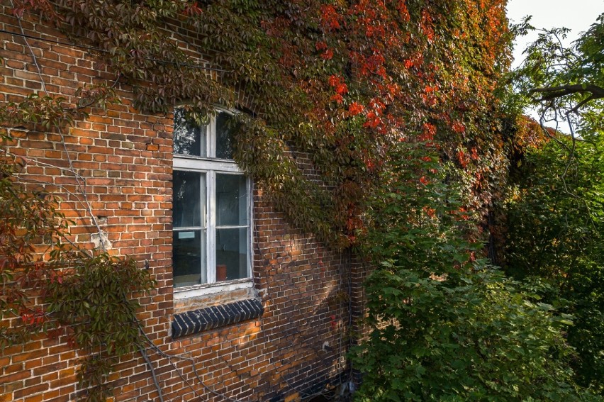 Zabytkowa Cukrownia w Pruszczu Gd. ma nowego właściciela. W planach są mieszkania, centrum kultury i restauracje