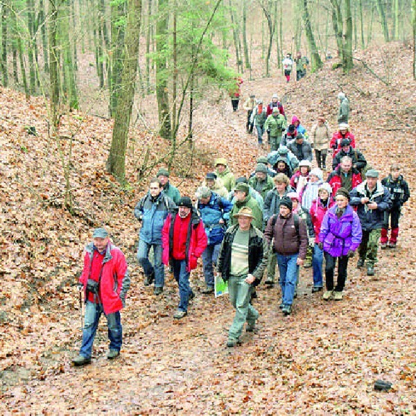 Członkowie i sympatycy bydgoskiego Klubu Turystyki Pieszej "Wędrownik" na szlaku wiodącym przez rezerwat Szumny Zdrój. To pierwszy etap ich wędrówki przez Górznieńsko-Lidzbarski Park Krajobrazowy.