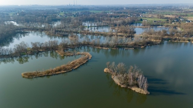 Przylasek Rusiecki - Większość zbiorników jest ogólnodostępna dla wędkarzy po wykupieniu pakietu u gospodarza łowiska, Okręgu PZW Kraków.