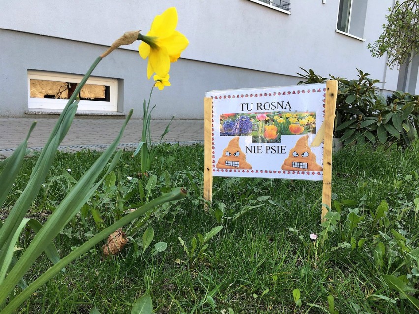 Mieszkańcy jednego z bloków przy ul. Hugo Kołłątaja w...