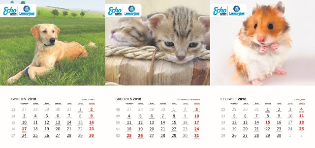 12 psów, 12 kotów oraz 12 innych pupili z największą liczbą głosów trafi na karty kalendarza Psy 2018, Koty 2018 oraz Pupile 2018.