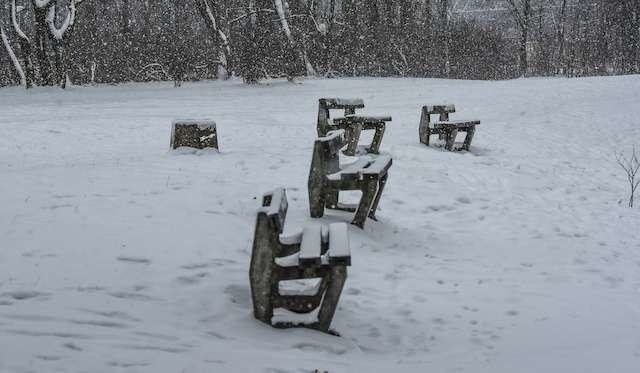 Wzgórze wolności parkWzgórze wolności park