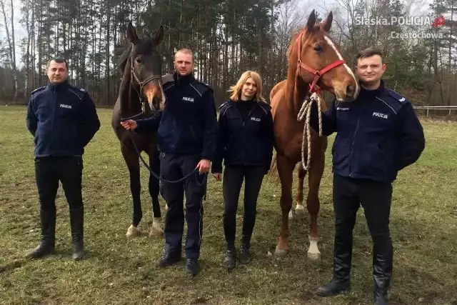 Częstochowa: nowe konie dołączyły do Zespołu Konnego Komendy Miejskiej Policji