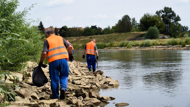 Aresztanci przez kilka godzin sprzątali brzegi Warty i wyciągali z jej dna śmieci