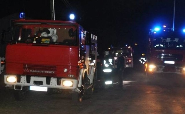 W akcji gaśniczej brało udział 27 strażaków.