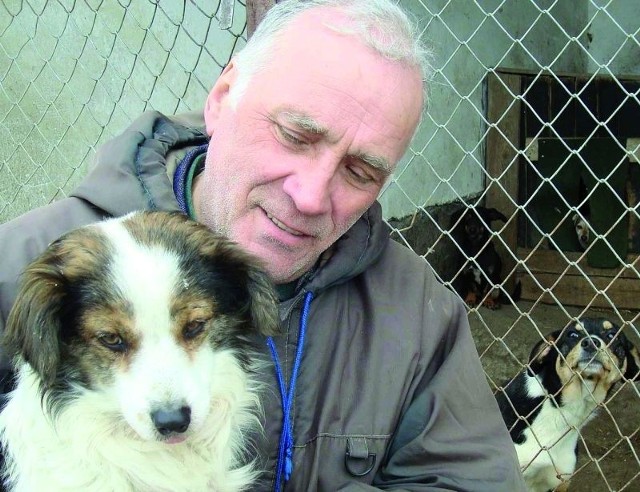 W azylu w Siedliskach koło Ełku na nowy dom czeka 60 zwierząt. &#8211; Mamy pod opieką głównie dorosłe psy, ale jest też kilkanaście szczeniaków &#8211; mówi pielęgniarz Stanisław Sołtys.