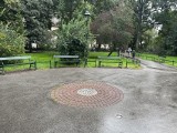 Szachownica cesarska pojawi się na Plantach w Krakowie. A to niejedyna zmiana, jaka szykuje się w parku, otaczającym Stare Miasto