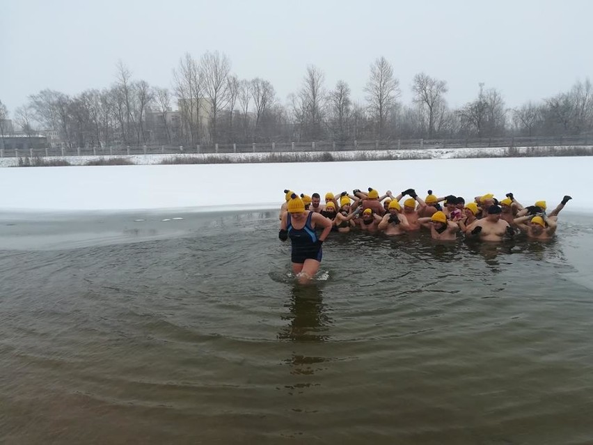 Morsy wchodzą do wody w każdą niedzielę o godz. 12.