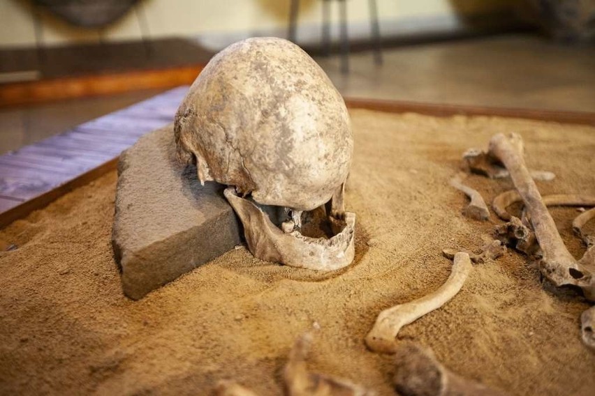 Muzeum Archeologiczne w Nowej Hucie pełne skarbów i tajemnic [ZDJĘCIA]