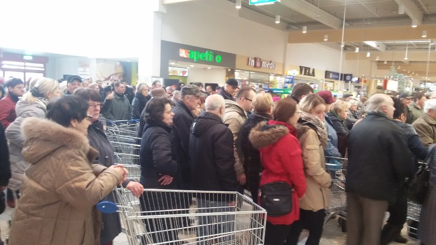 Otwarcie Auchan w Rybniku. Tłumy klientów czekały na ten...