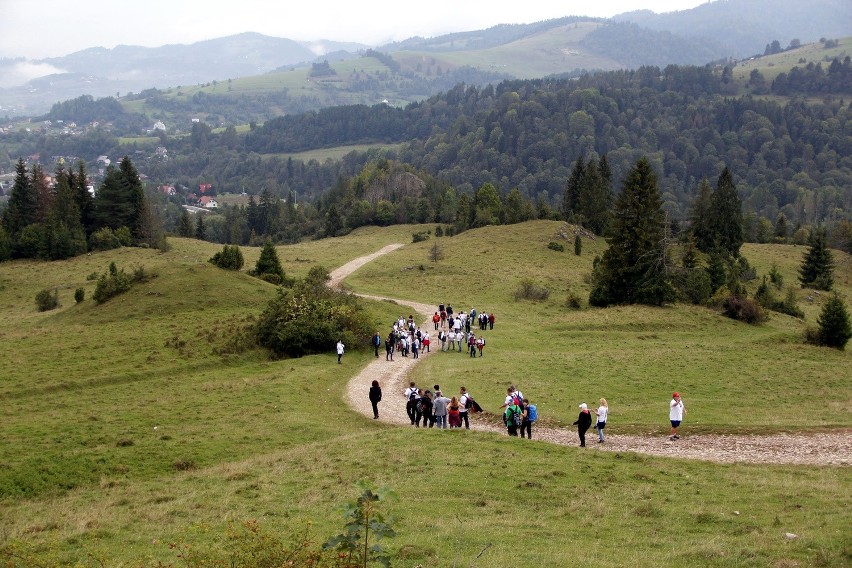 Pracownicy KWK Mysłowice-Wesoła bawili się na rajdzie...