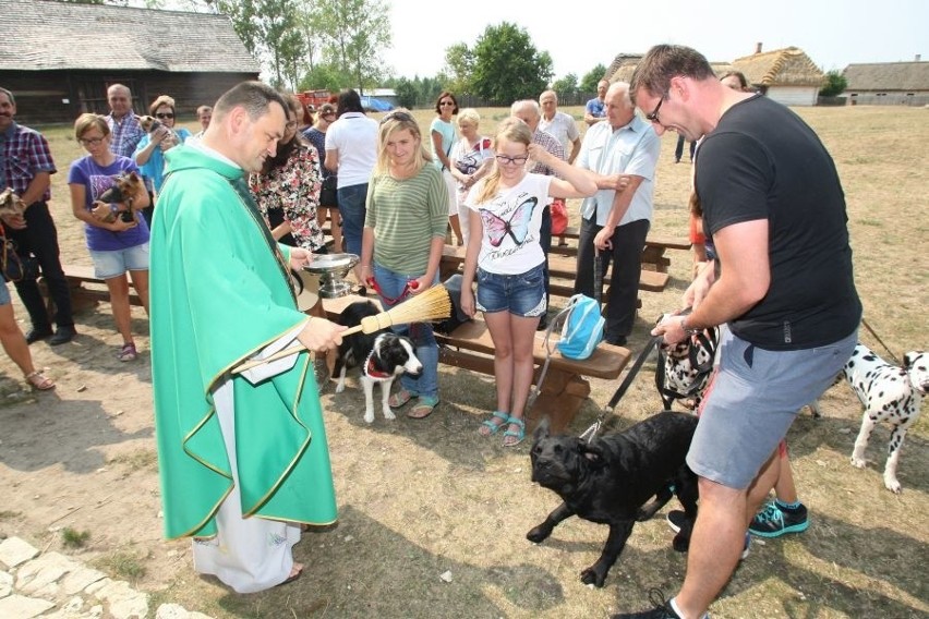 Dzień Świętego Franciszka w Tokarni