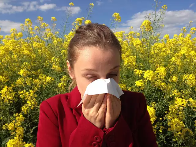 Wiosna i lato to zdecydowanie nienajlepsze pory roku dla alergików.Oto pylenia na następne miesiące!