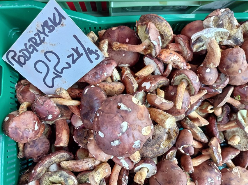 Ceny grzybów na targowisku w Katowicach