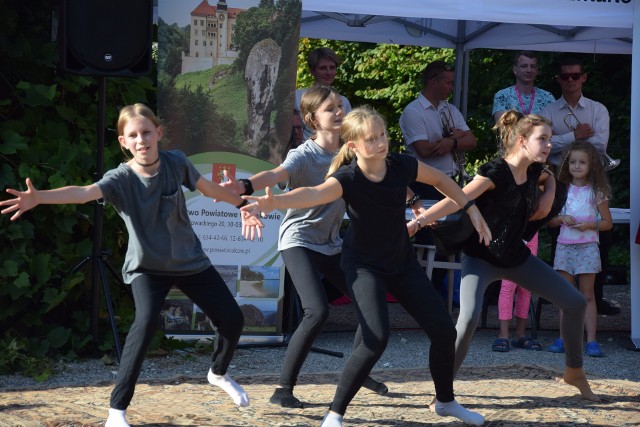 Festiwal Nietoperzy odbywa się już piaty raz w Jerzmanowicach. Zdjęcia z poprzednich edycji