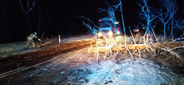 30.01.2022, godz. 19.23Na DK 19 w pobliżu miejscowości Koźliki doszło do kolizji autokaru i dwóch samochodów osobowych. Wszystkiemu winne okazało się drzewo, które przewróciło się na jadący autokar. Na szczęście obyło się bez osób poszkodowanych.
