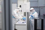 Koronawirus na Śląsku: 52 nowe przypadki. W całym kraju niecałe 500 nowych zakażeń koronawirusem