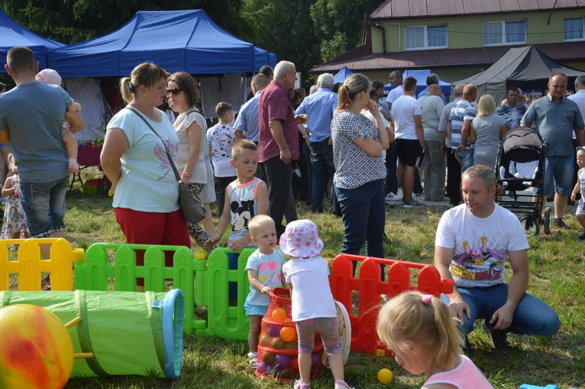 Cena bobu jest dobra, więc w Sudołku mogli świętować