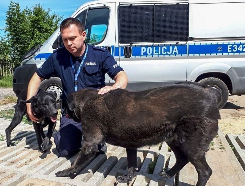 Asp. Ernest Pondel już po raz drugi adoptował psa, nad...