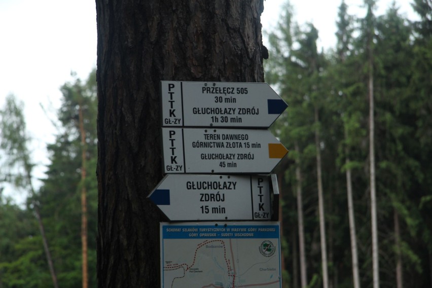 Okolice Głuchołaz kuszą pięknymi widokami. Zobacz kolejne...