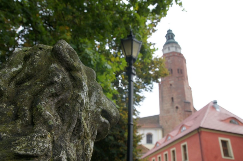 Kto został nominowany do plebiscytu Osobowość Roku 2018 w...