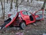 Śmiertelny wypadek na DK11 w Parkowie. Dwie osoby nie żyją. Zobacz zdjęcia