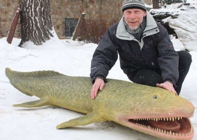 Zbigniew Złonkiewicz przy pierwszym modelu tetrapoda zrobionym tuż przed ogłoszeniem odkrycia w 2010 roku,  w styczniowym numerze Nature