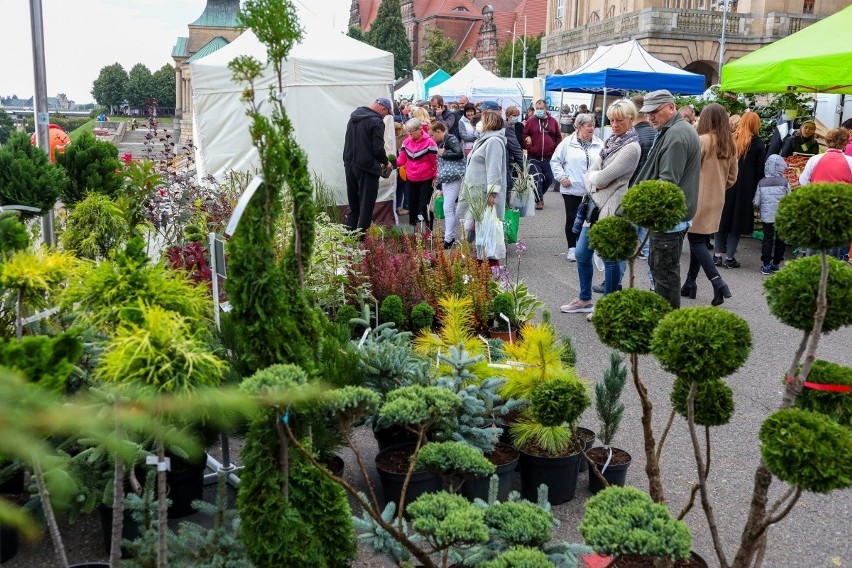 Kiermasz "Pamiętajcie o ogrodach" na Wałach Chrobrego w...