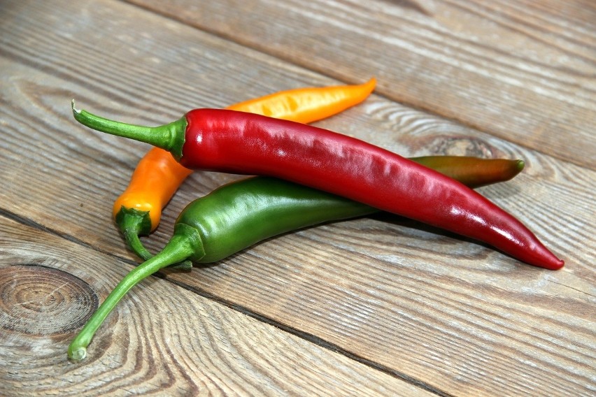Papryczka chili zawiera dużą ilość kapsaicyny (odpowiada za...