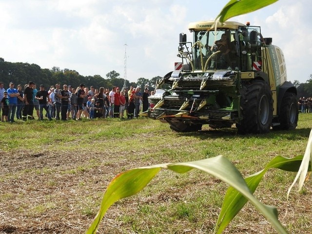 Co roku Krajowy Dzień Kukurydzy cieszy się dużym zainteresowanie. Organizatorzy zawsze przygotowują pokazy najnowocześniejszych maszyn.