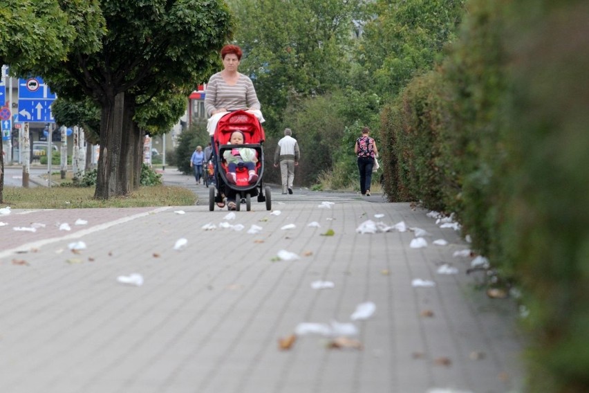 Bałagan po wrocławskim maratonie