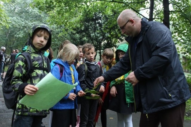 Park bioróżnorodności w Parku Ślaskim