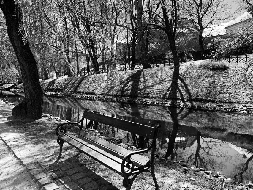 Piękny park w Koszalinie w czasie koronawirusa na zdjęciach Internautki