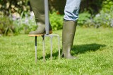 Nawożenia trawnika – ile razy, kiedy i czym nawozić trawnik
